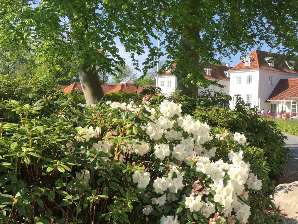 Rungstedgaard Hotel Exterior photo